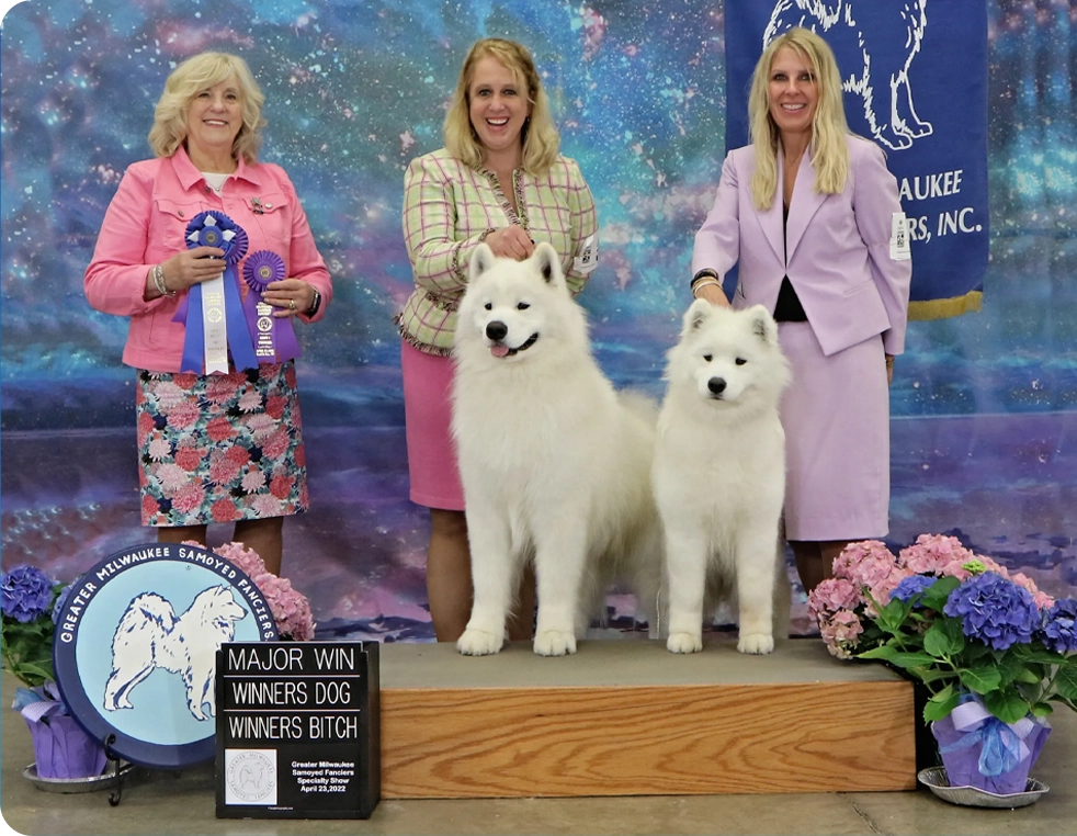 Three women and two white dogs on a stage.