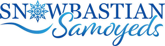 A blue and green logo for the vbas samar