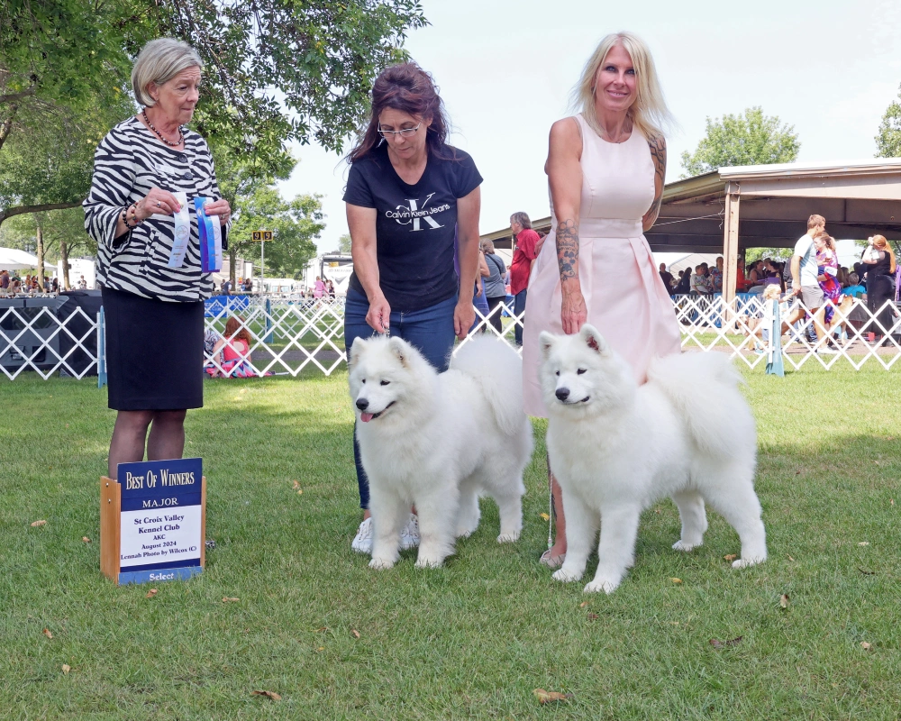 Three women and two white dogs standing in a field.