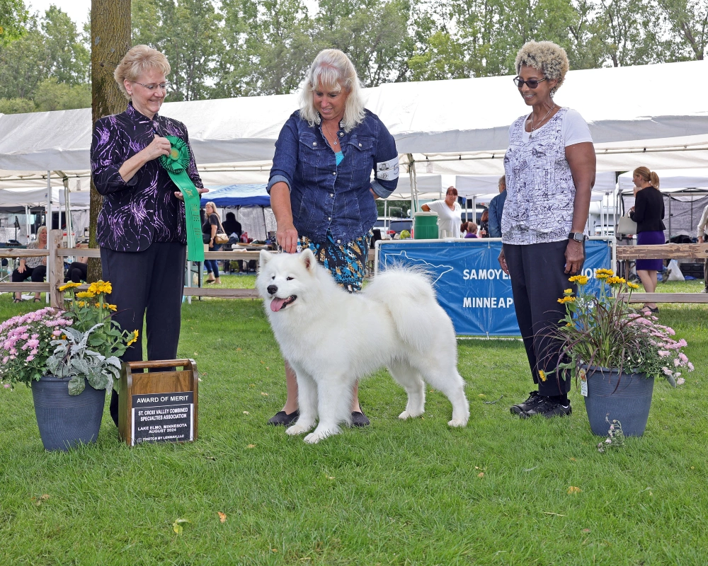 Three women and a white dog standing in the grass.