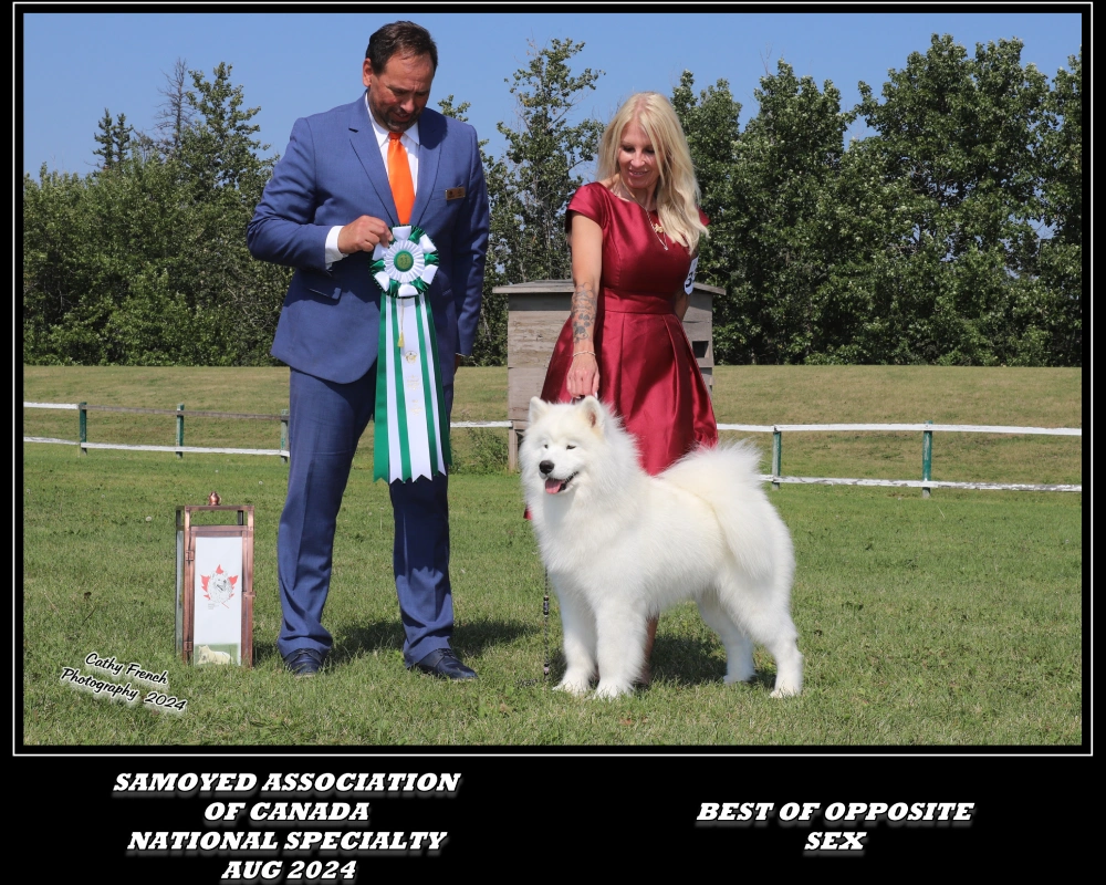 A man and woman standing next to a white dog.