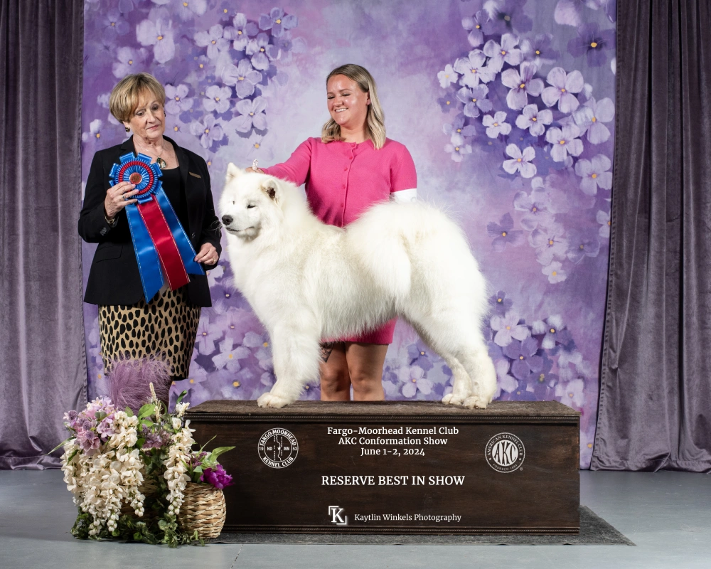 A woman standing next to a white dog on top of a wooden platform.