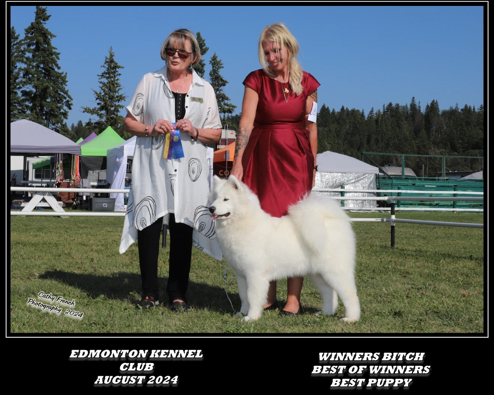 A woman and a dog standing next to each other.