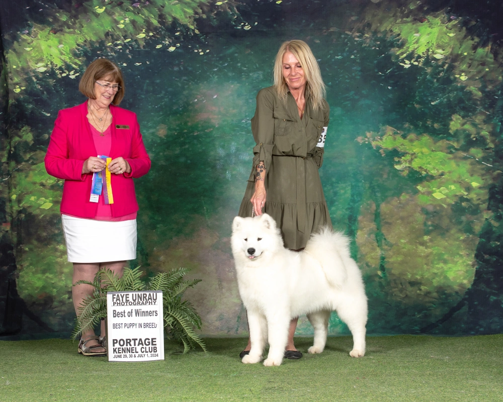 A woman and a dog are standing in front of trees.