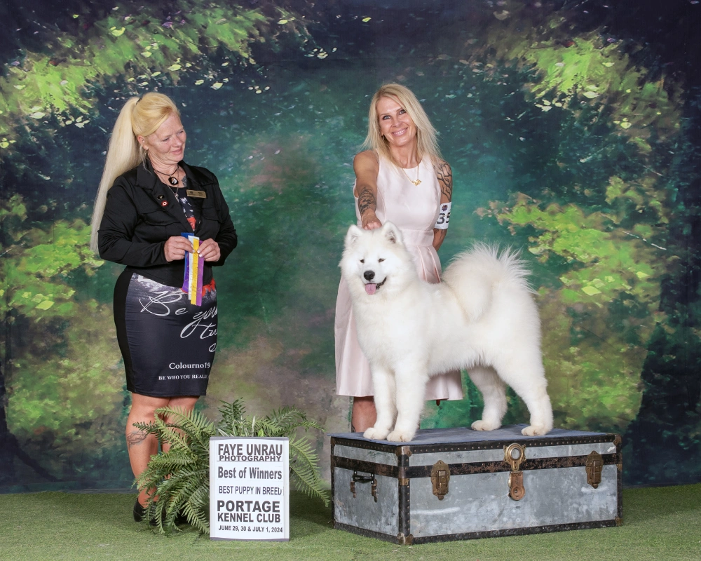 Two women and a white dog standing on top of a trunk.