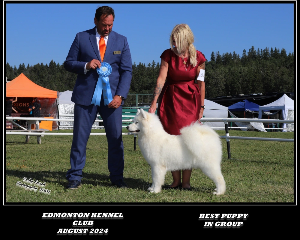 A man and woman standing next to a white dog.