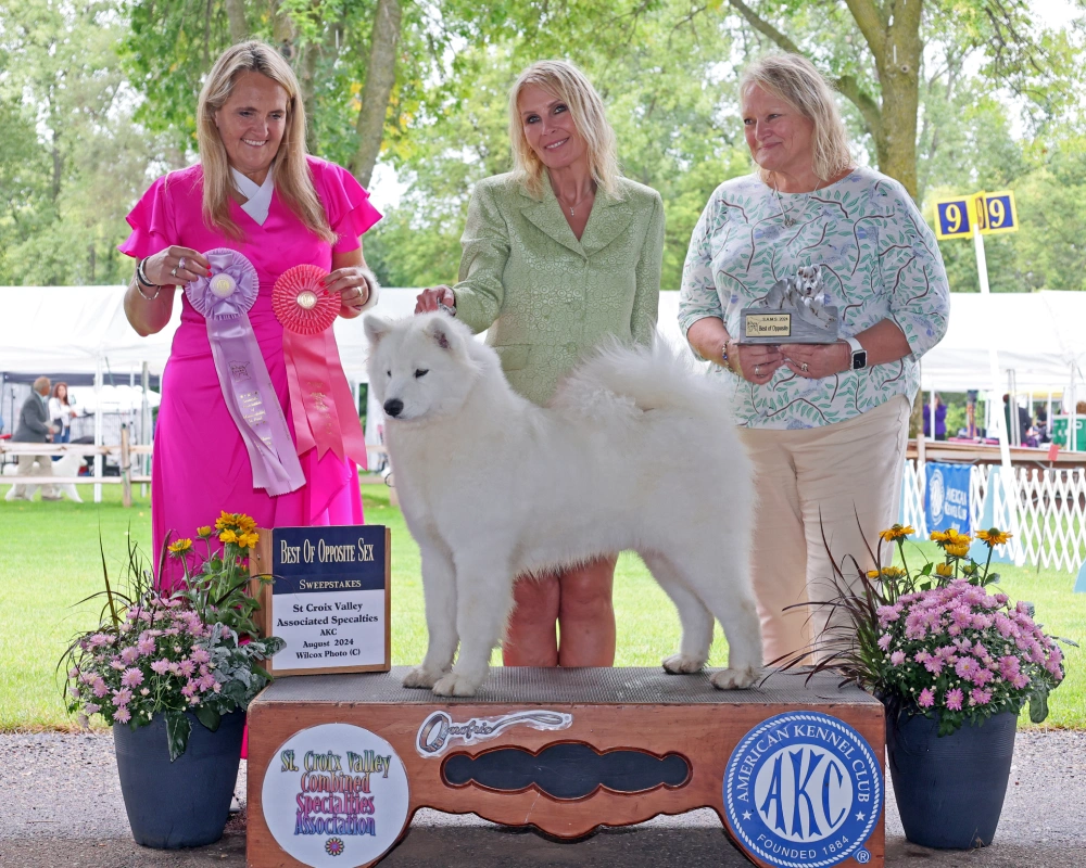 A group of people standing around with a dog.