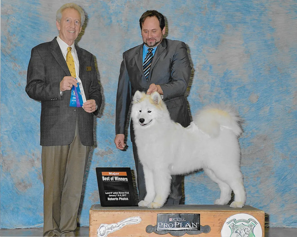 Two men and a dog standing on top of a wooden platform.